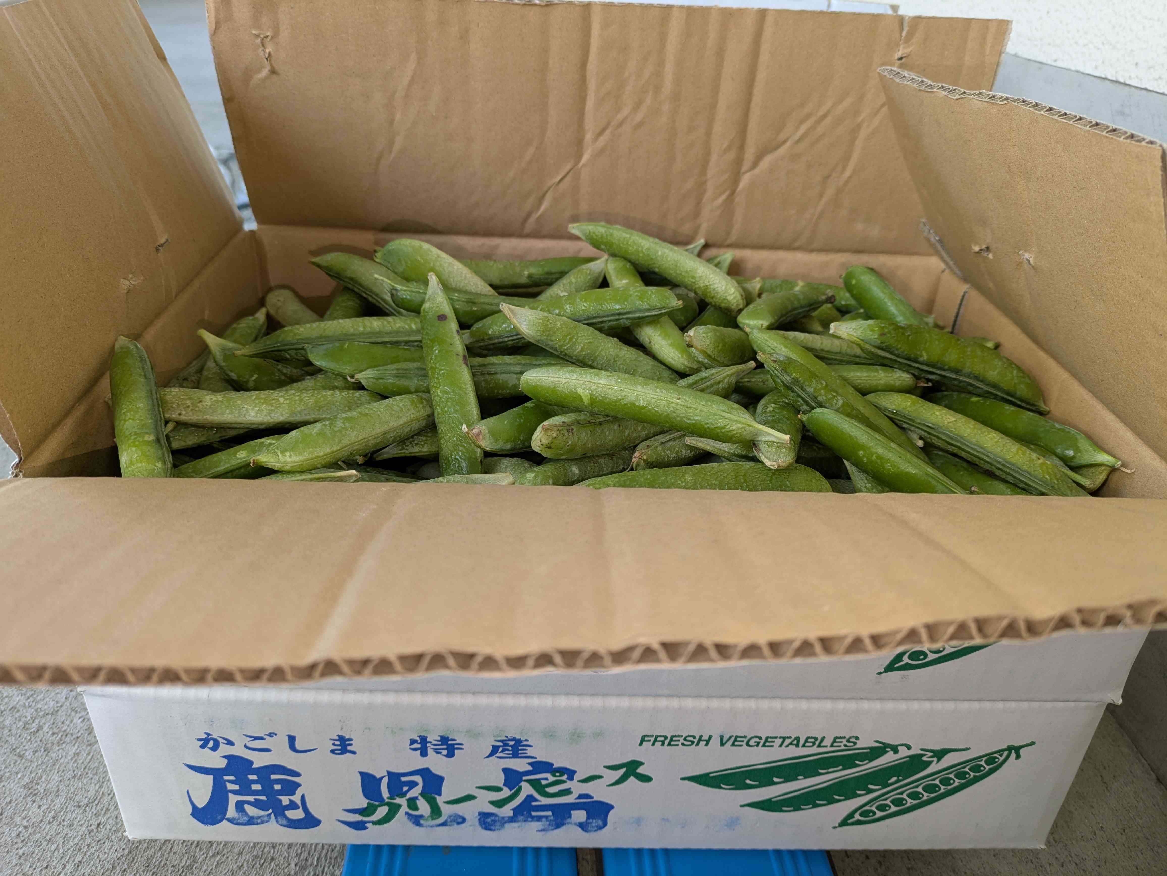 PXL_20250507_233445833
