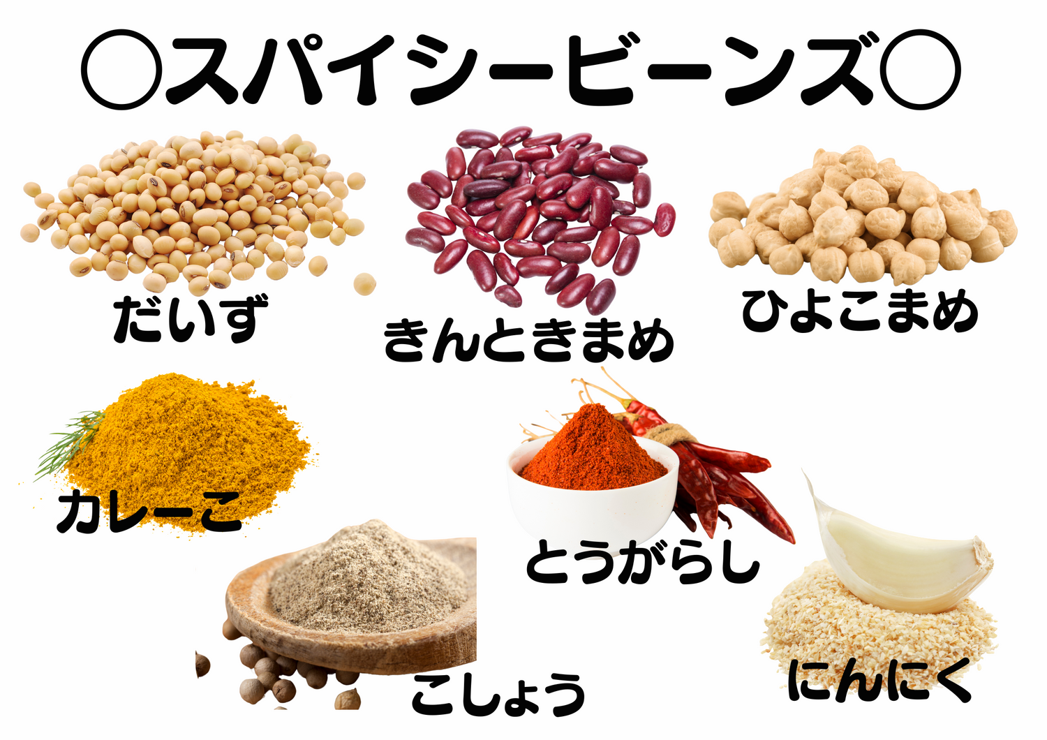ｽﾊﾟｲｼｰﾋﾞｰﾝｽﾞ