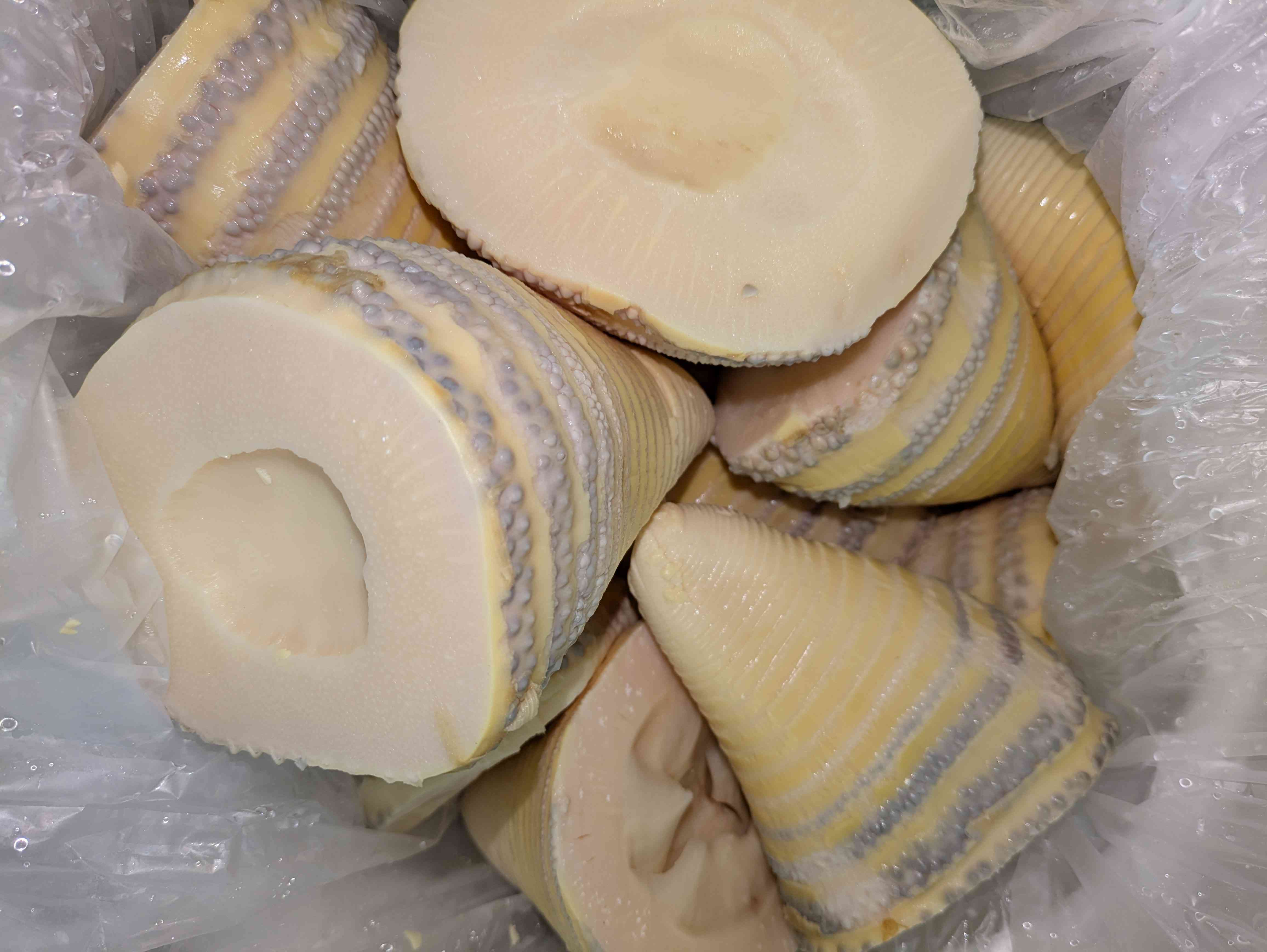 茹筍東食