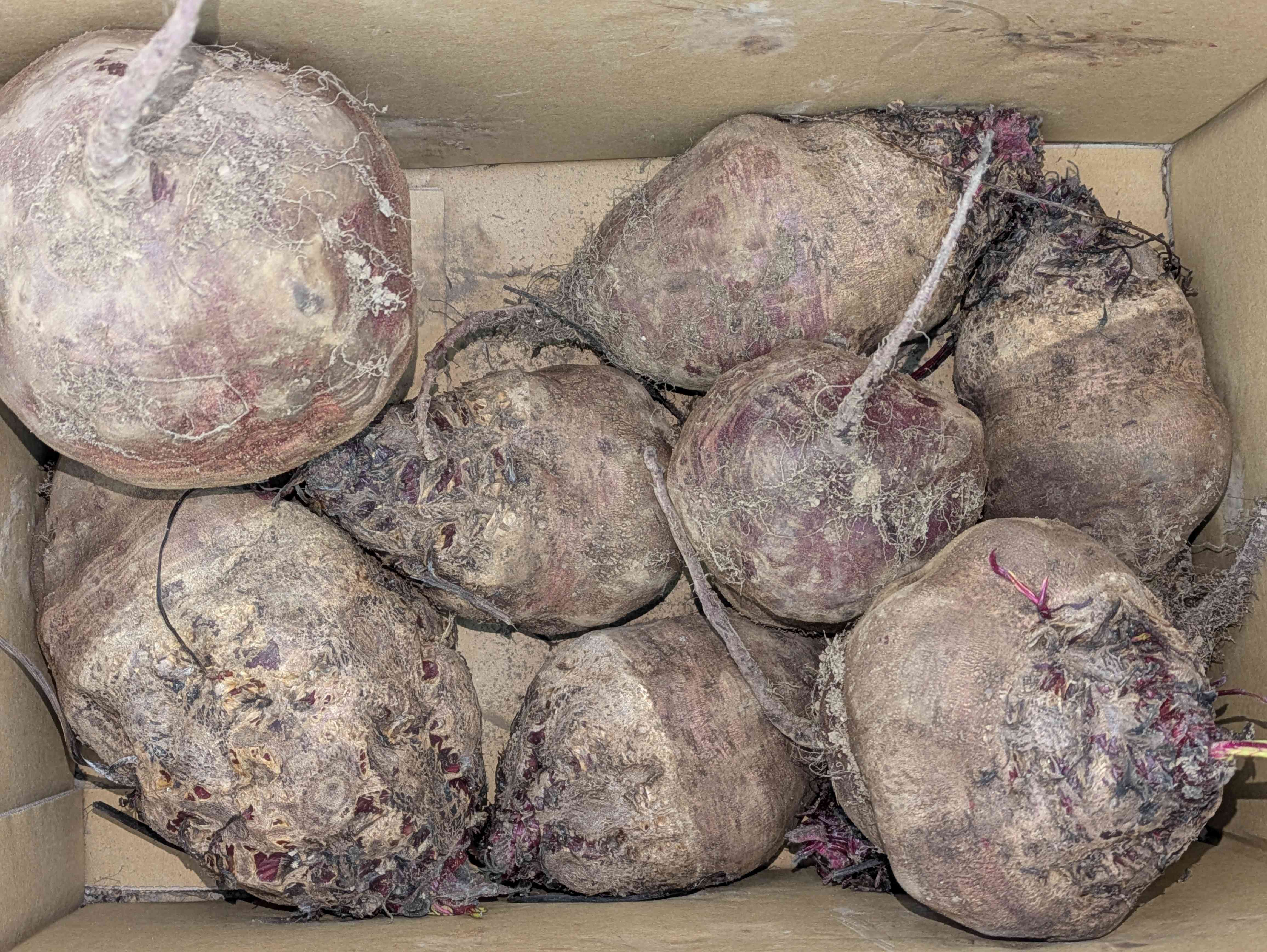 PXL_20251107_002022469