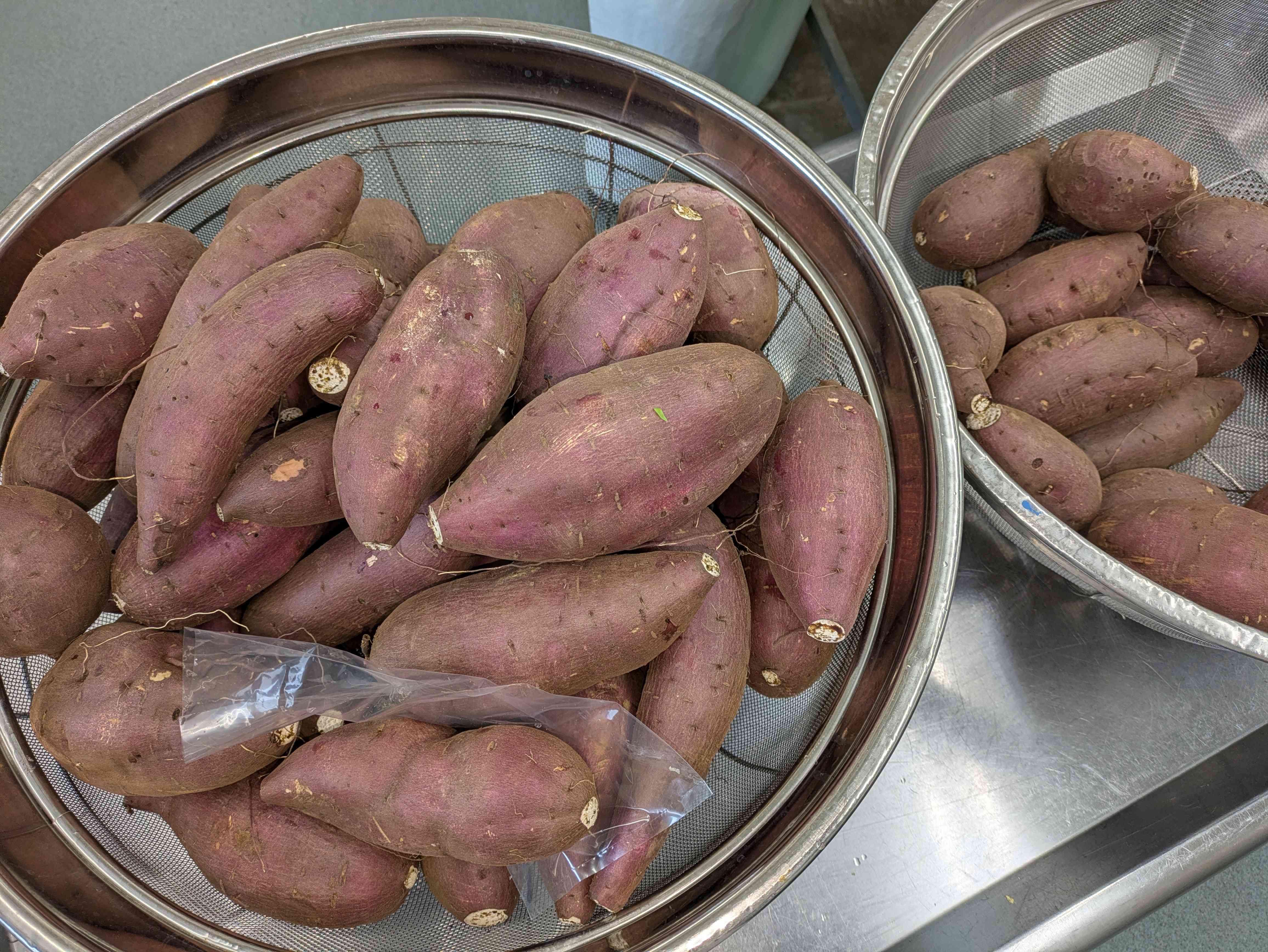 PXL_20251117_234650716