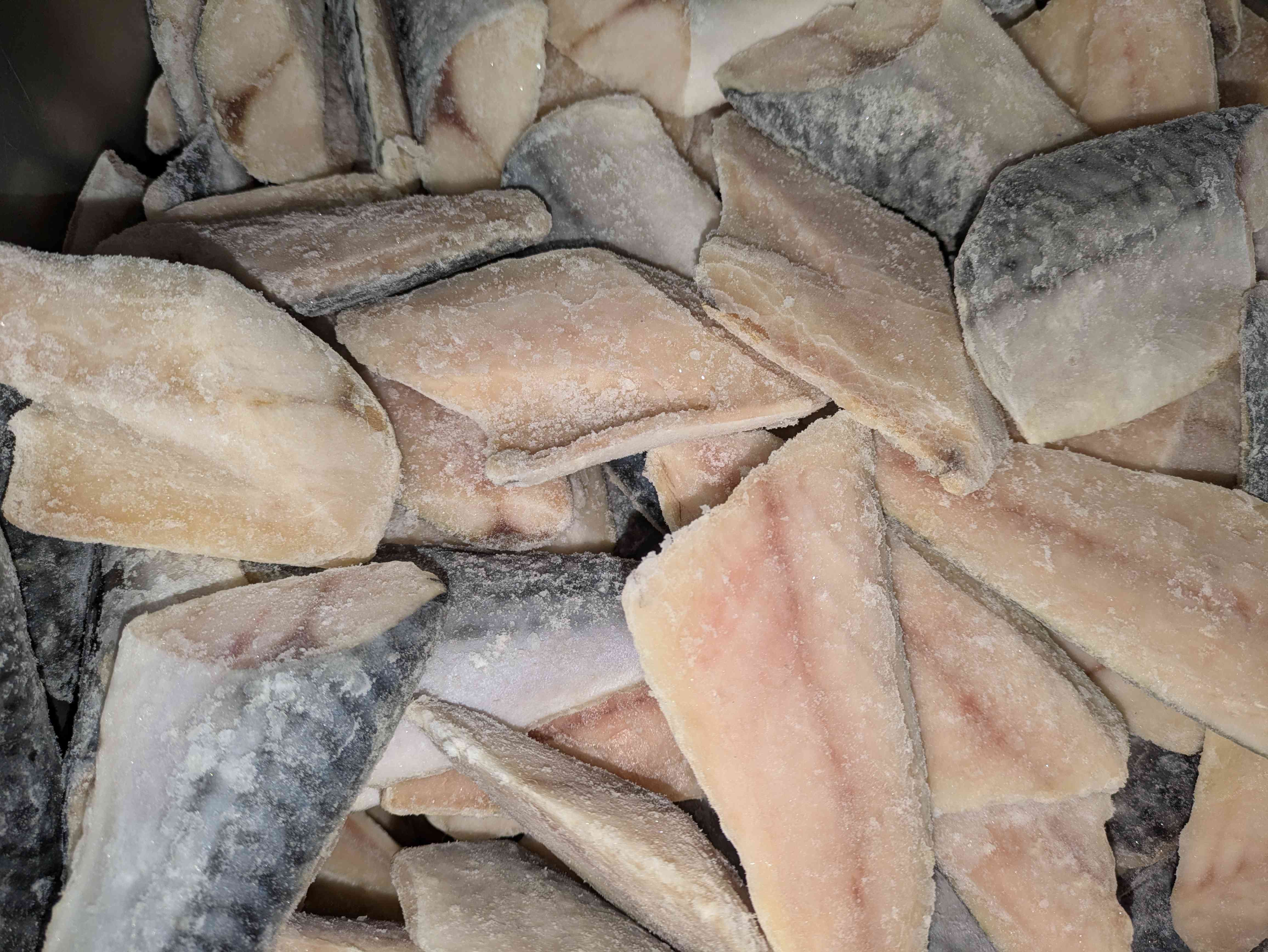 PXL_20251125_004007343