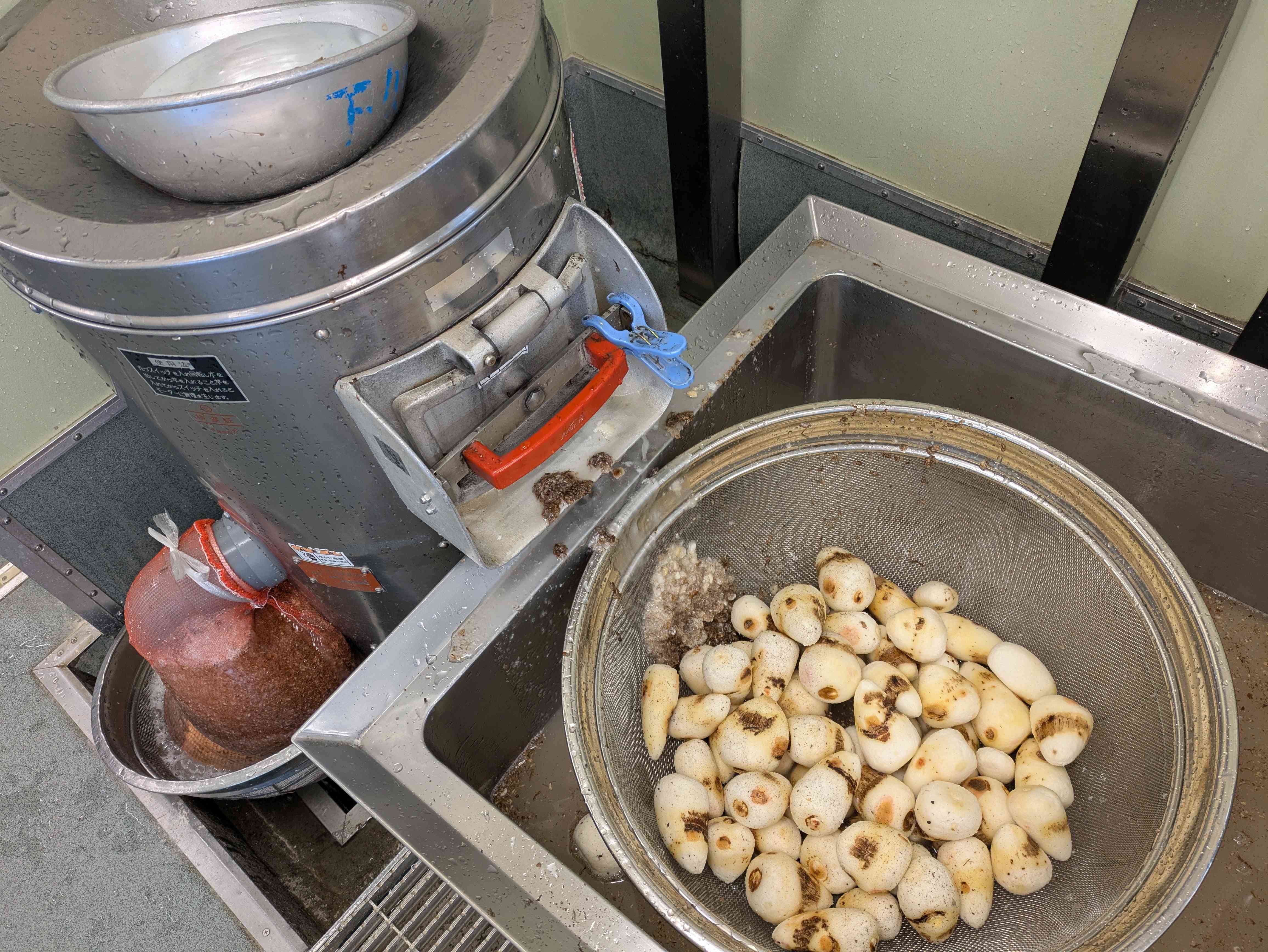 PXL_20251204_002612001