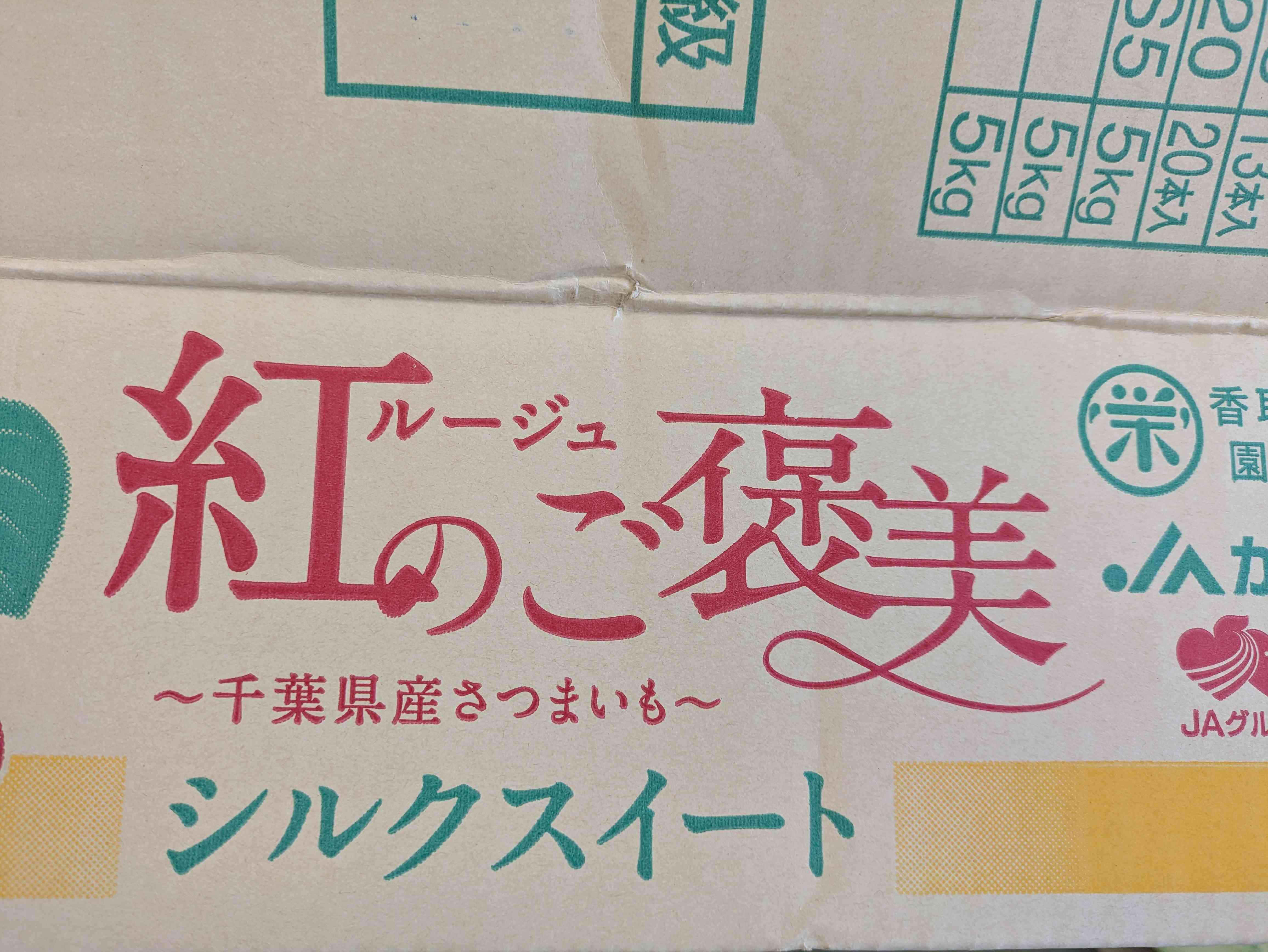 PXL_20251204_232944512