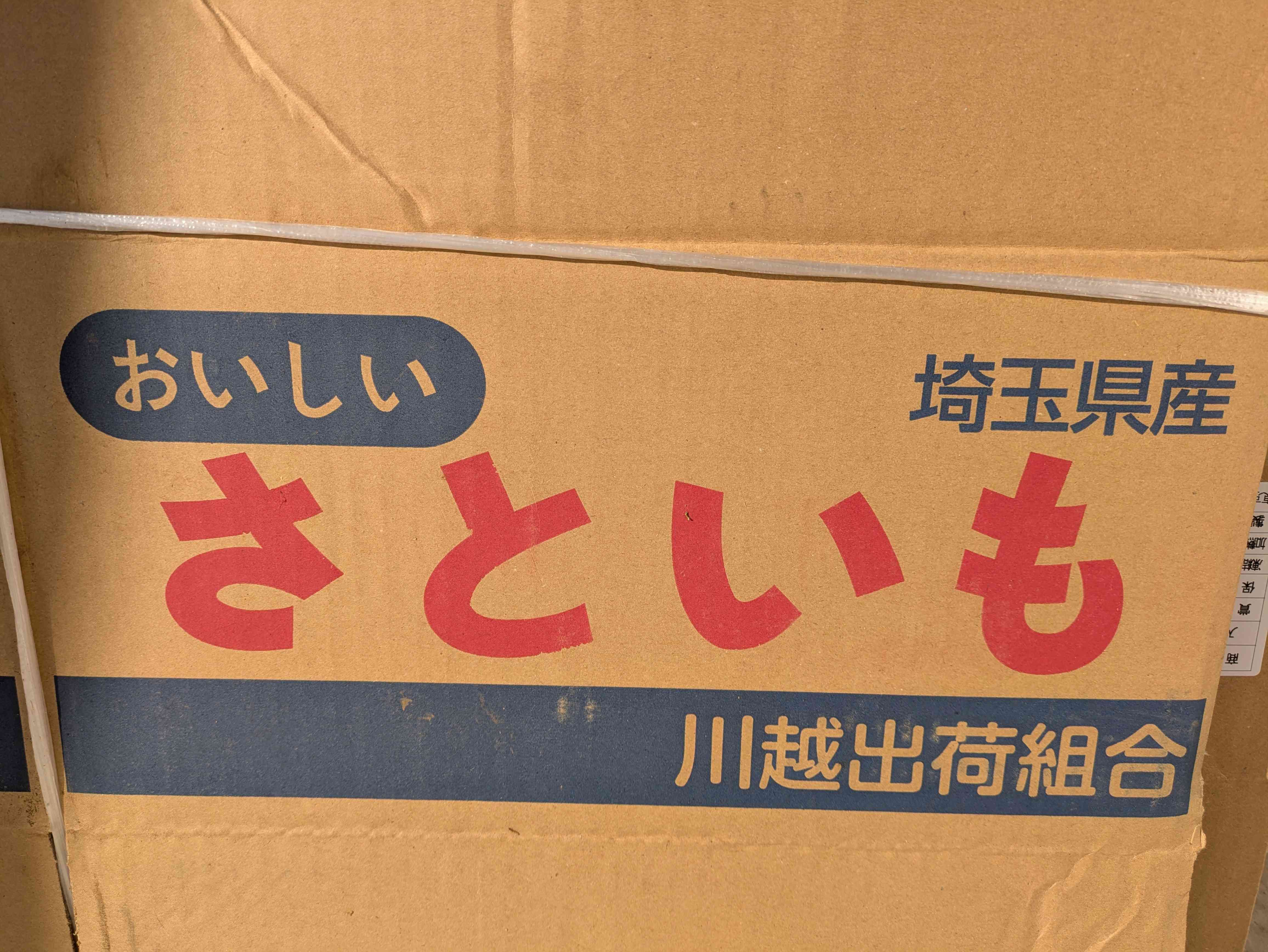 PXL_20251210_042445411