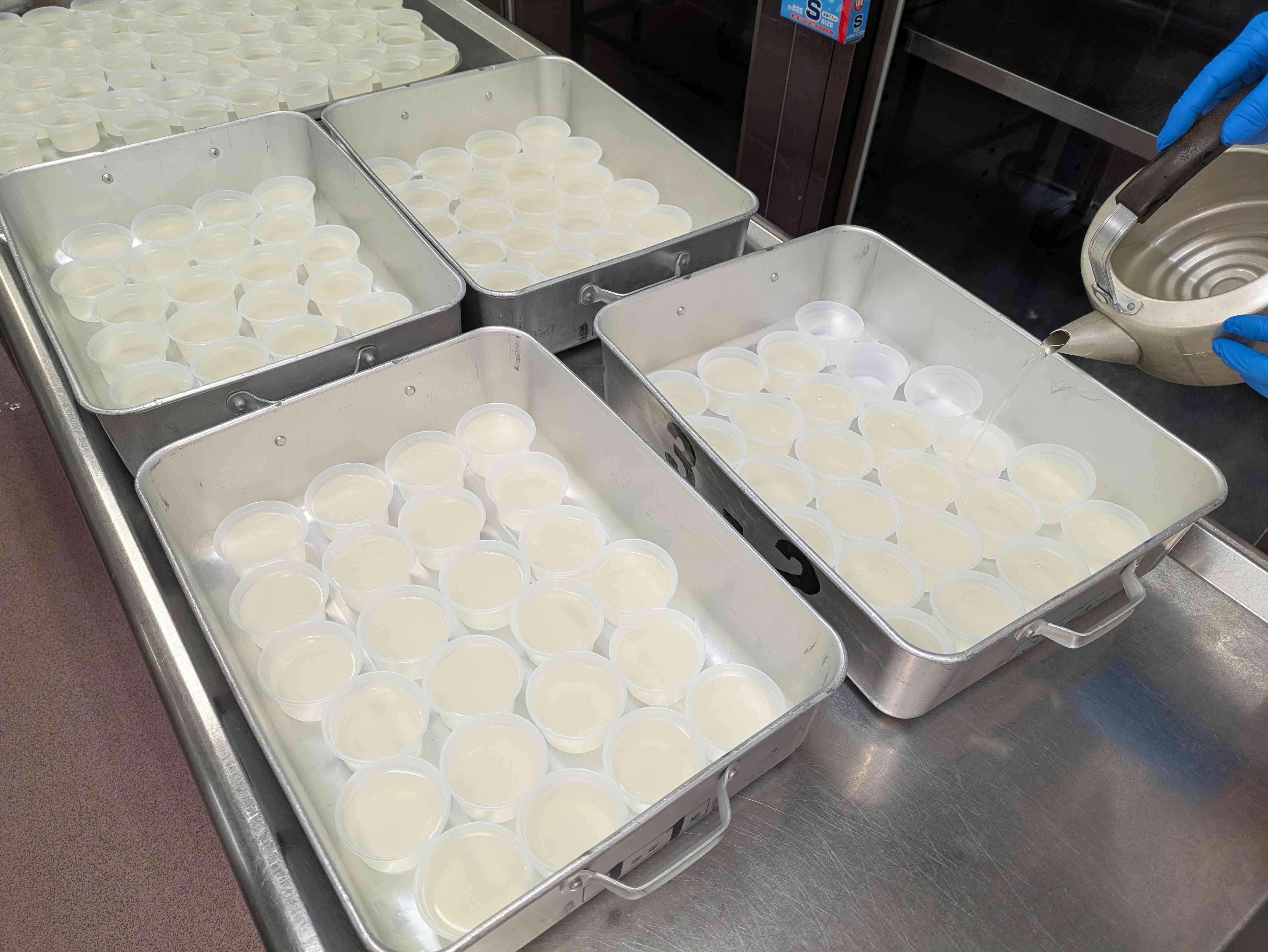 PXL_20251219_003602282