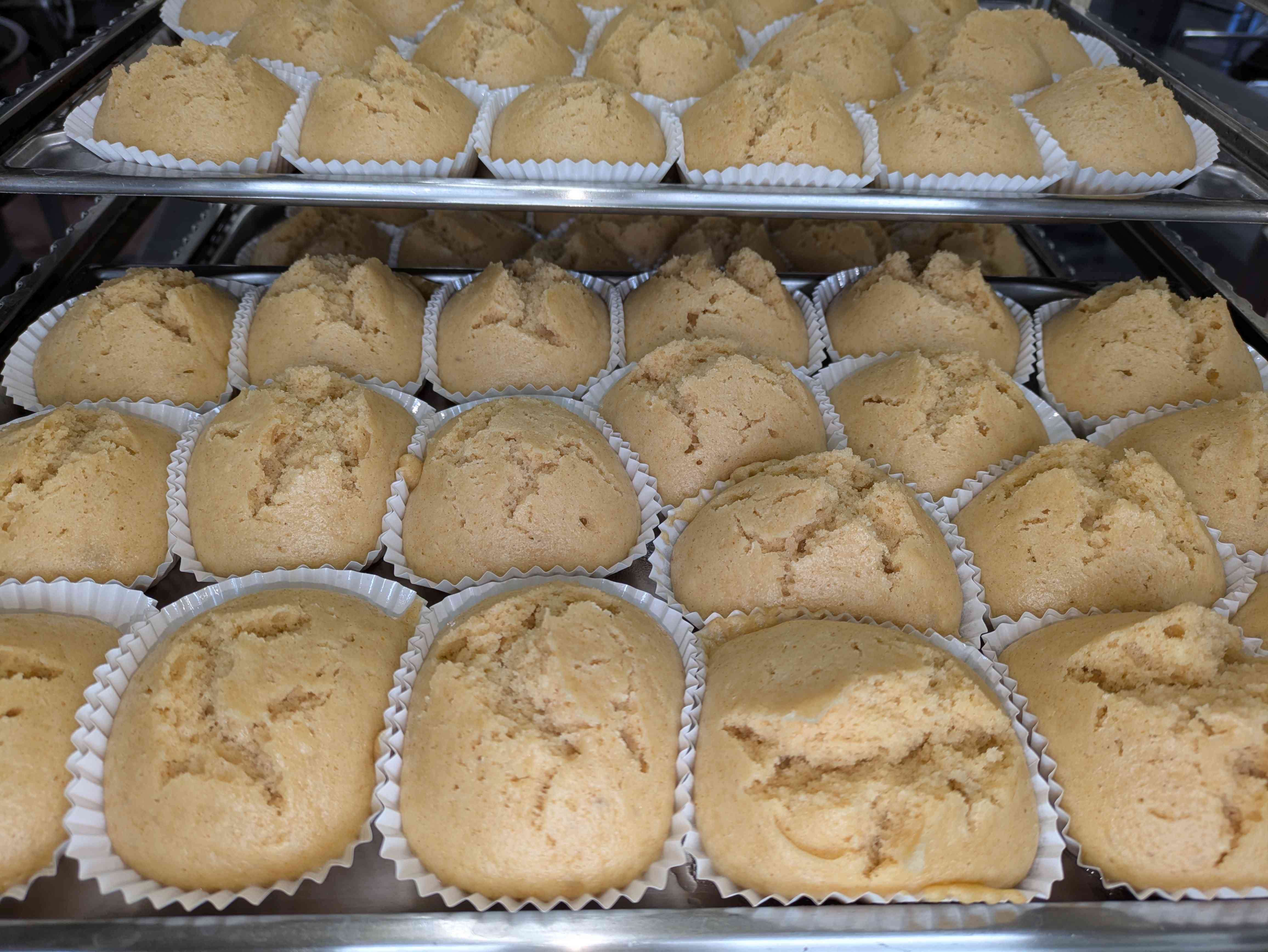 PXL_20260113_025311787