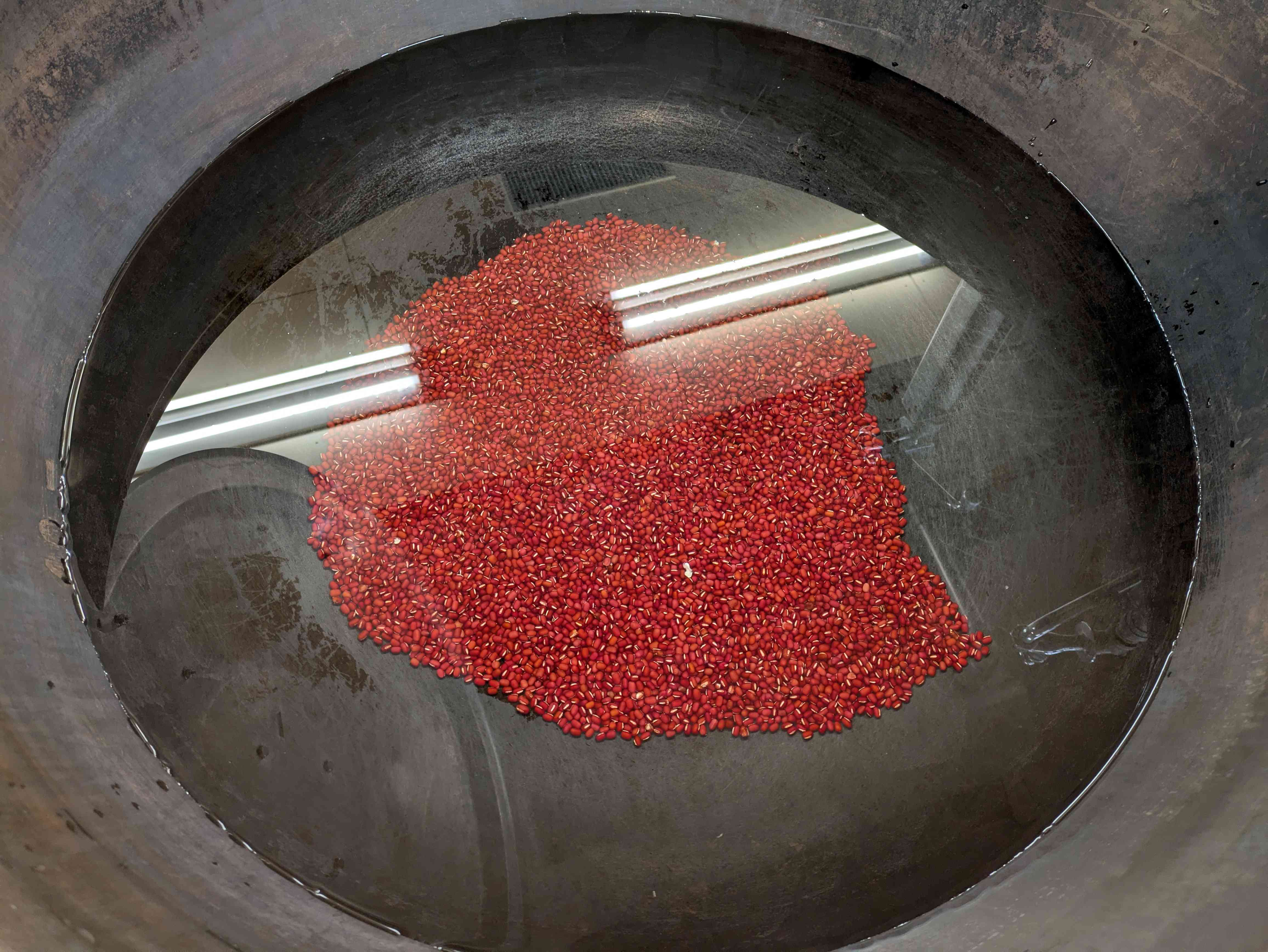 PXL_20260113_235838001