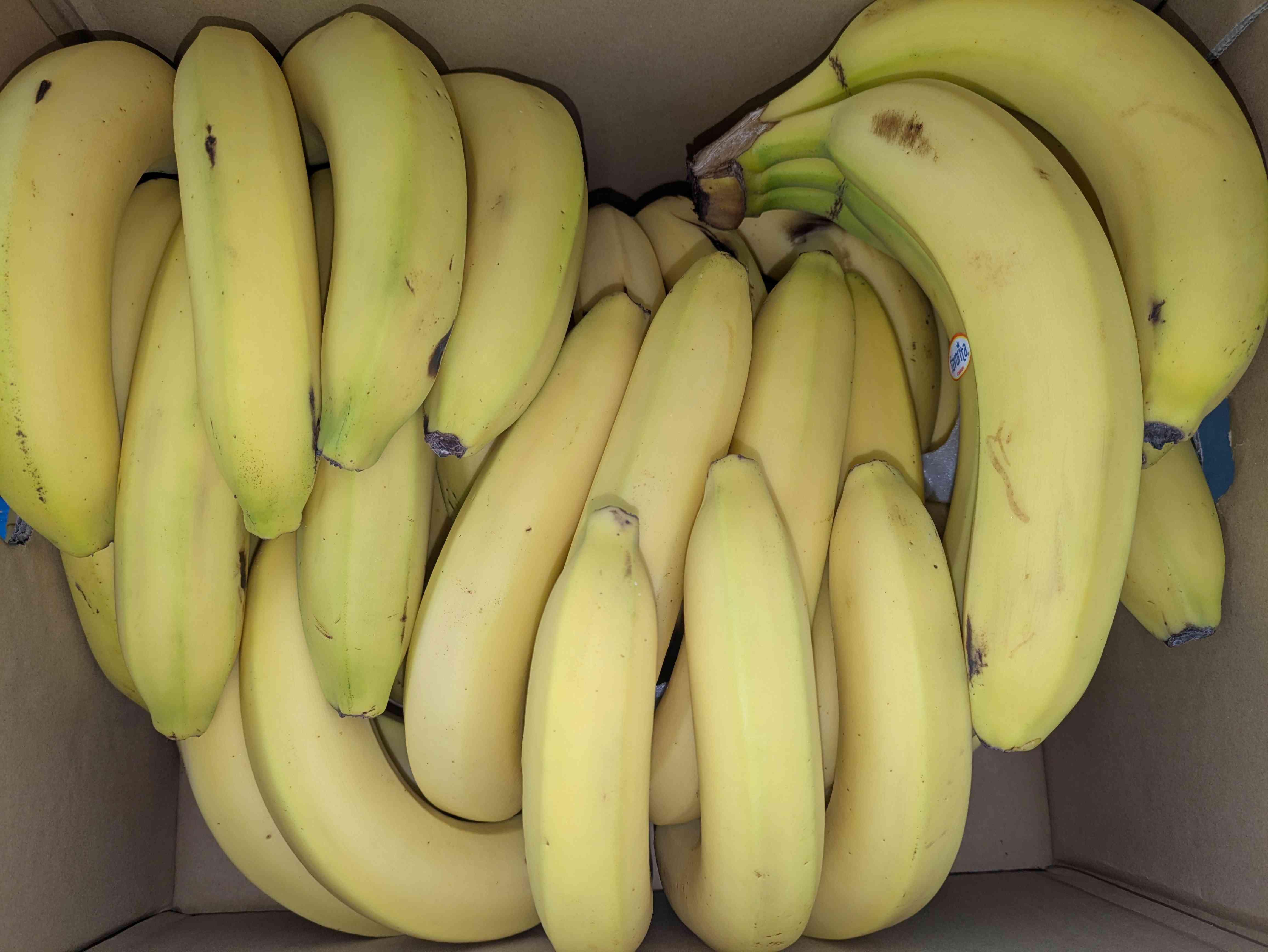 PXL_20260119_001406285