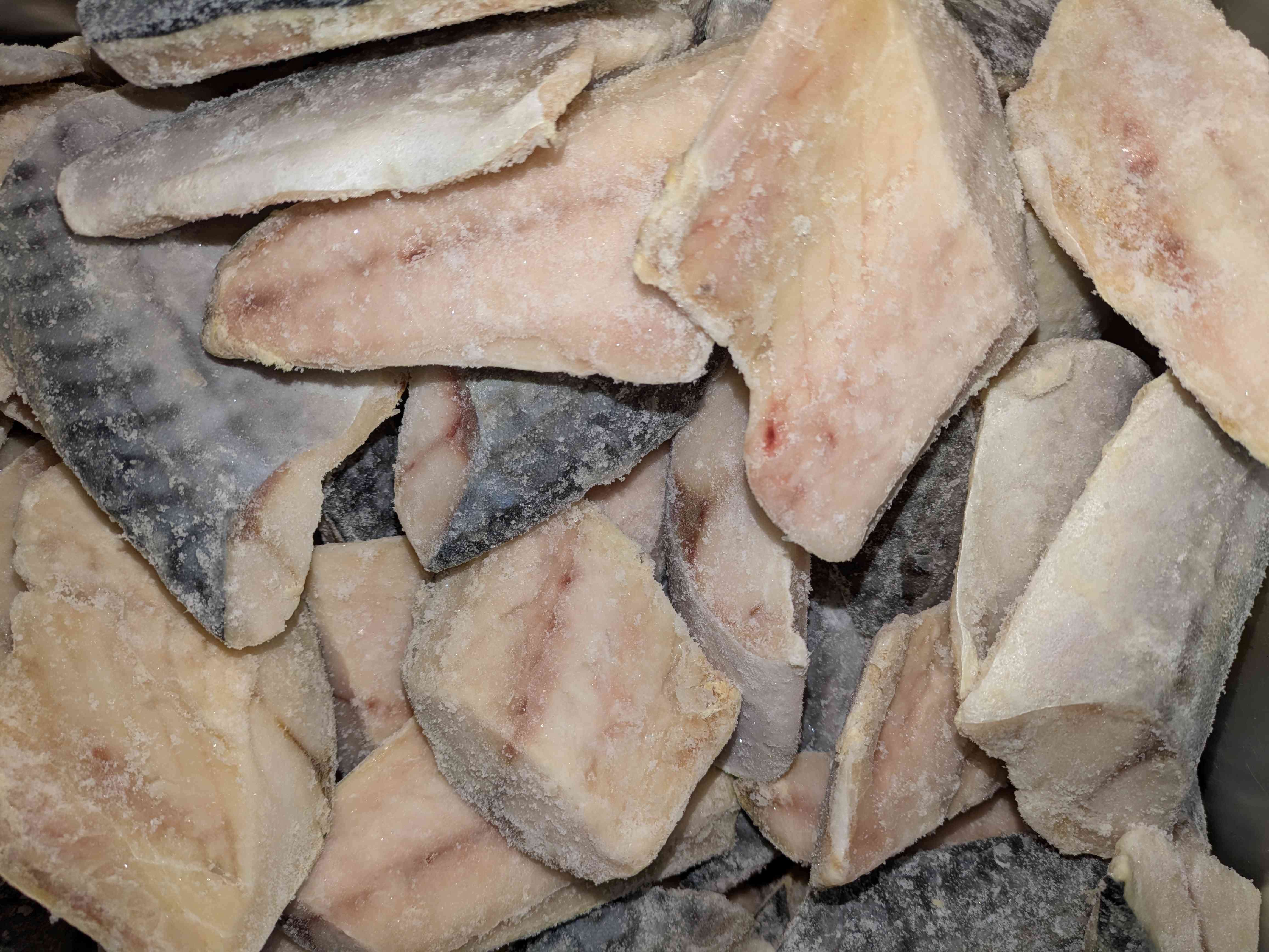 PXL_20260127_003106065