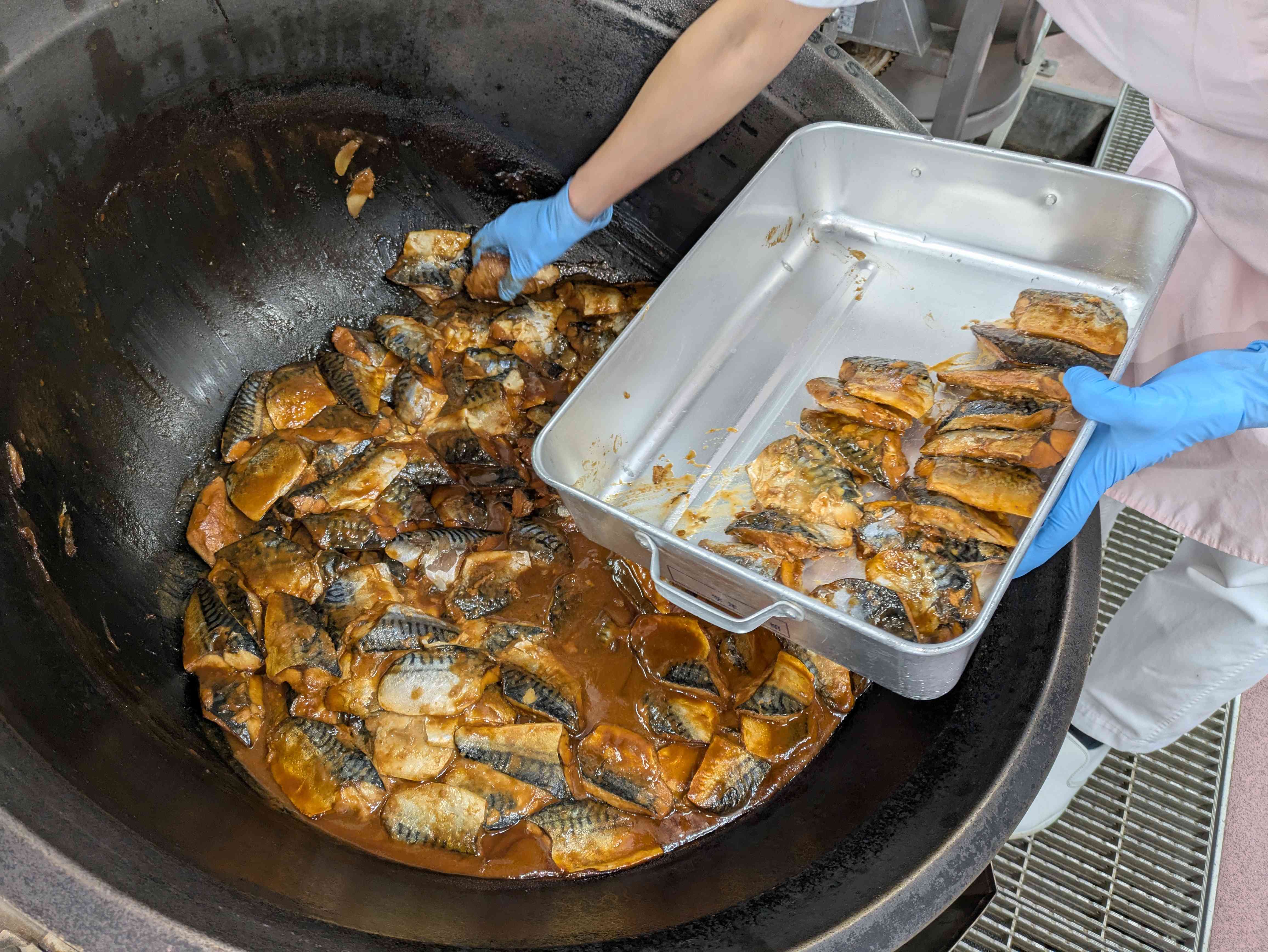 PXL_20260127_023629776