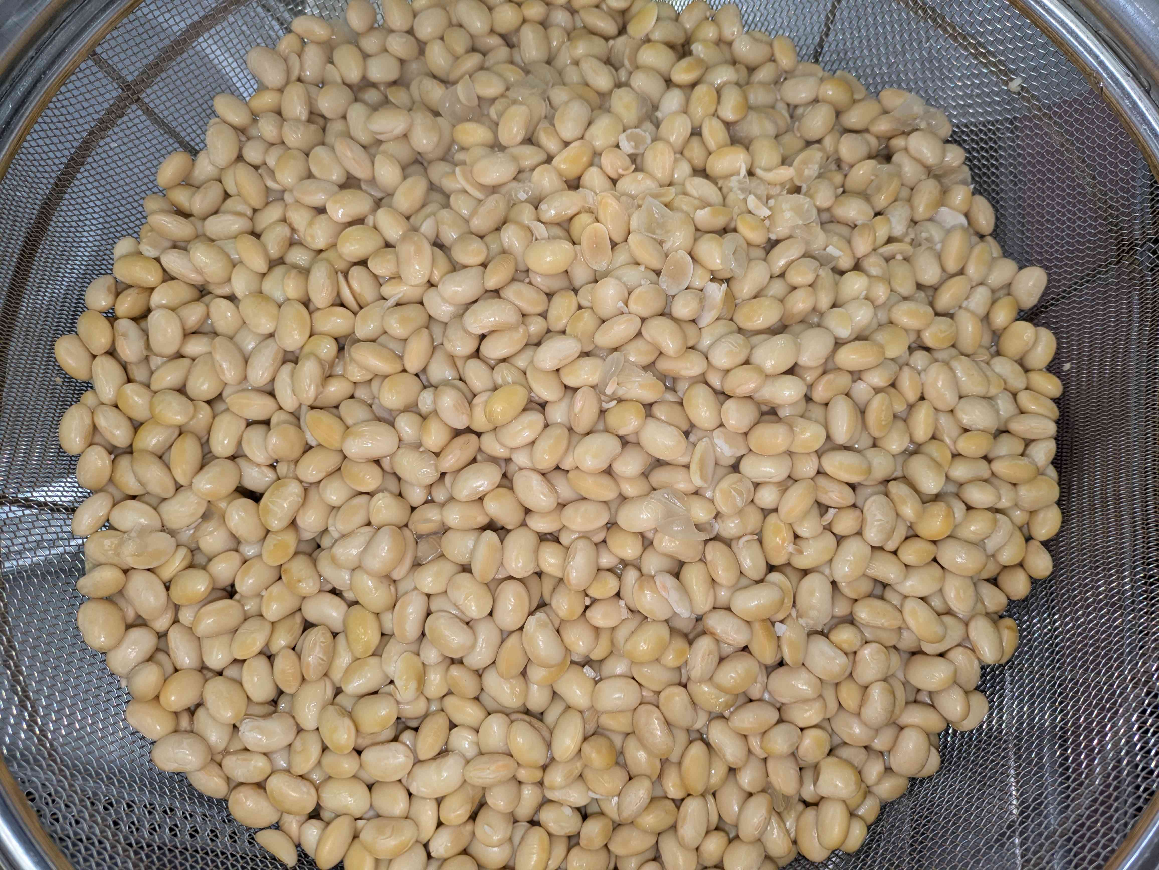 PXL_20260202_015357937