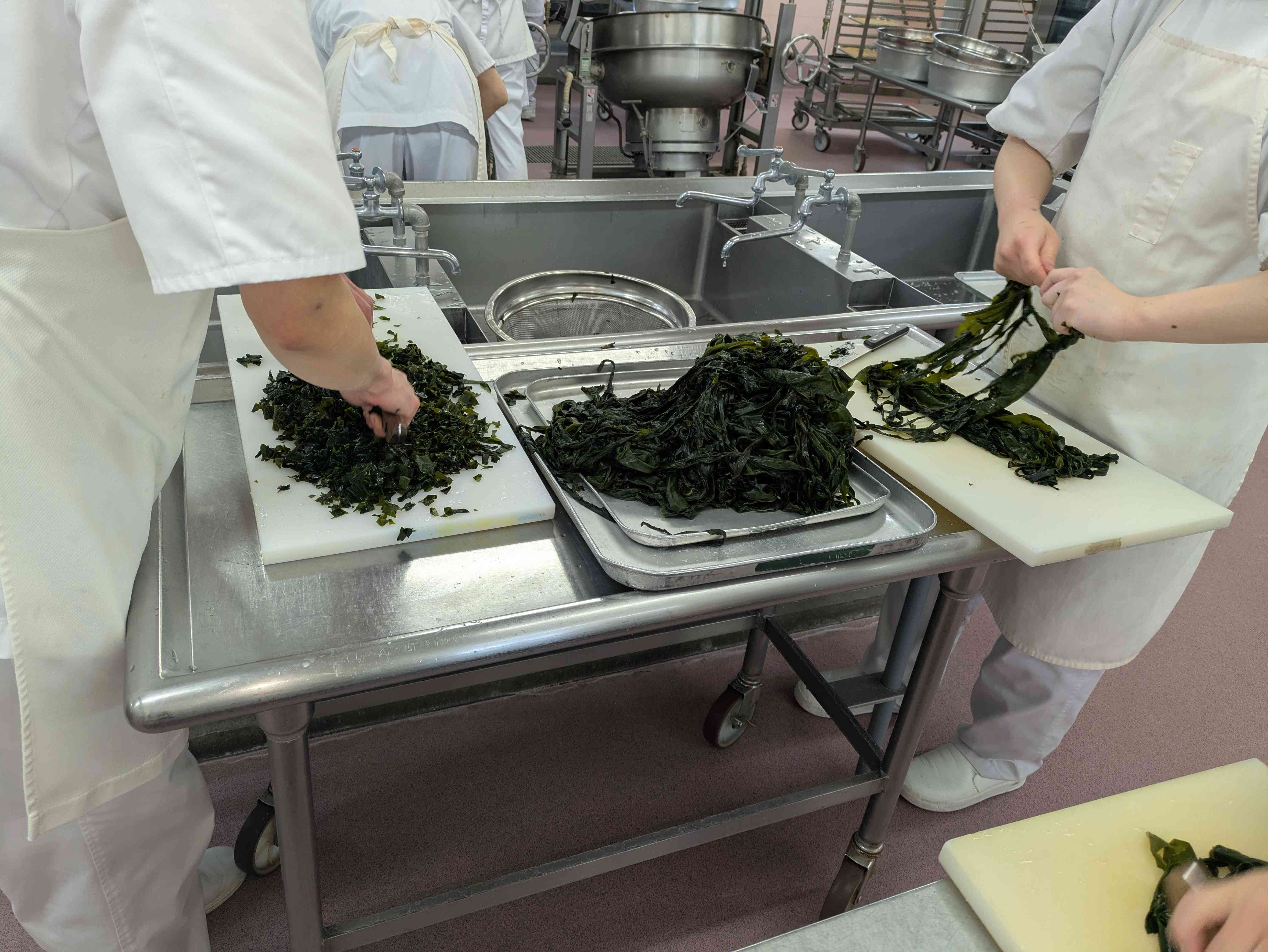 PXL_20260216_023550430