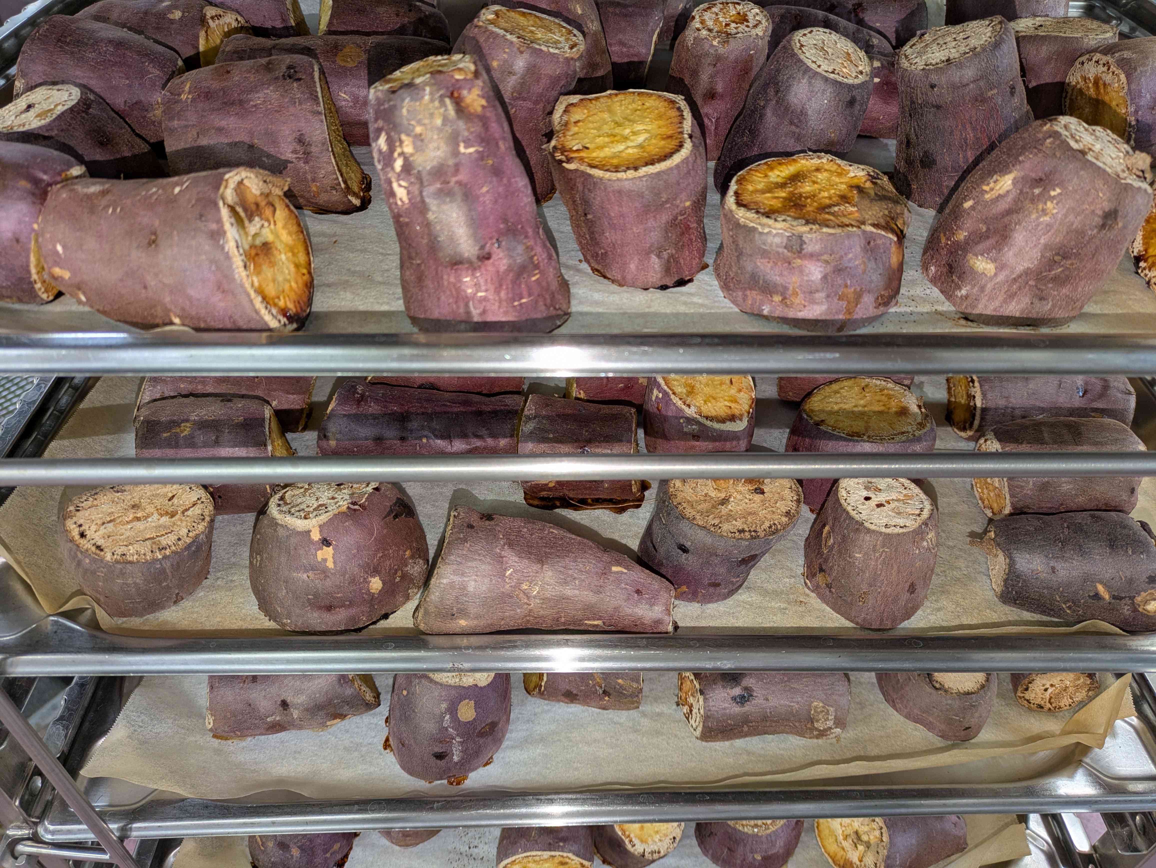 PXL_20260220_014956457