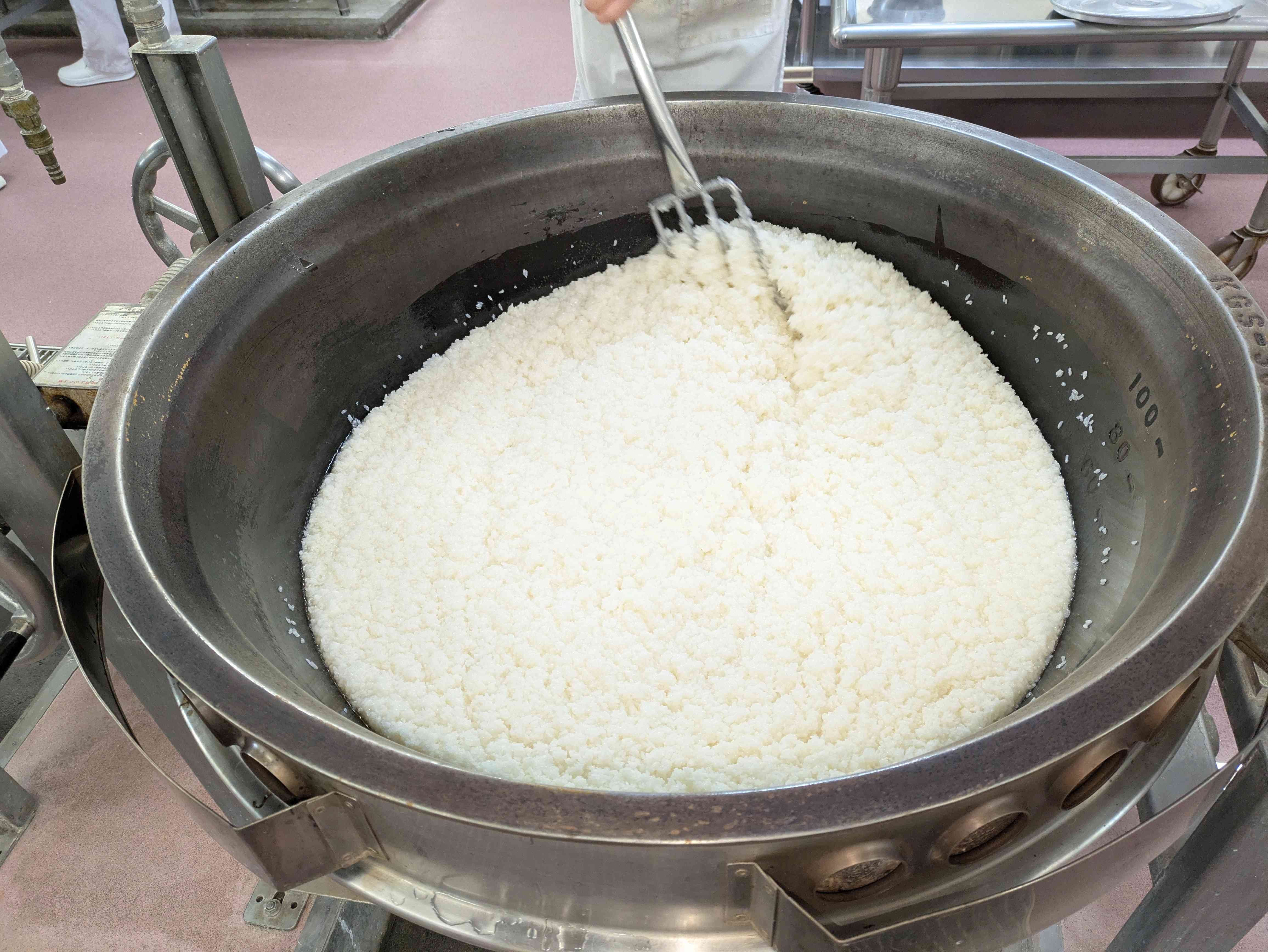 PXL_20260227_004725317