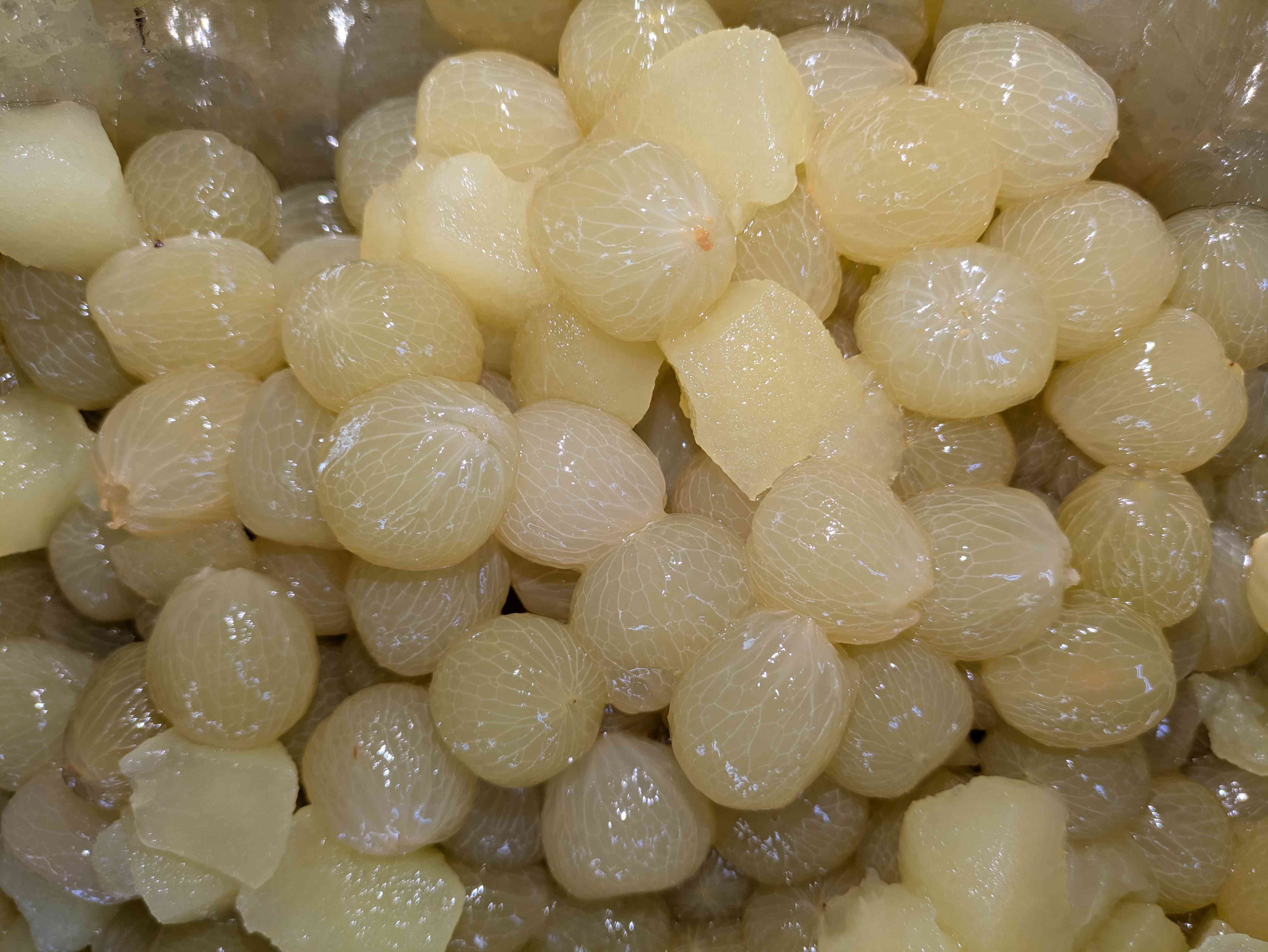 PXL_20260316_004201208